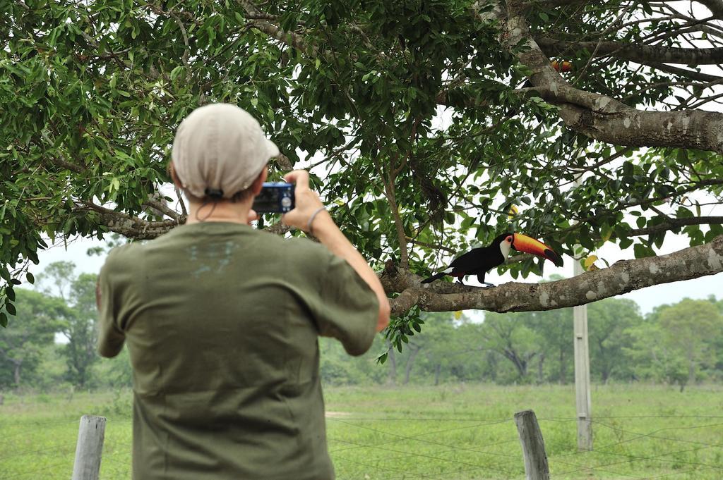 Southwild Pantanal Lodge Pixaim Exterior foto
