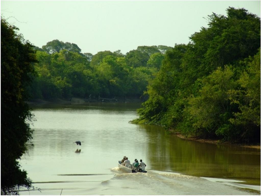 Southwild Pantanal Lodge Pixaim Exterior foto